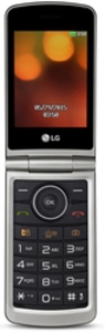 Сотовый телефон LG G360 красный