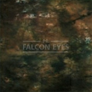 Фон BC-018 ВС-2440