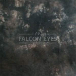 Фон BC-024 ВС-2429