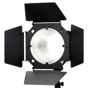 Raylab Xenos LED 4-x лепестковые шторки с линзой Френеля RBD-99FL