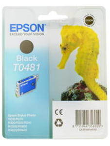 Картридж струйный Epson T0481