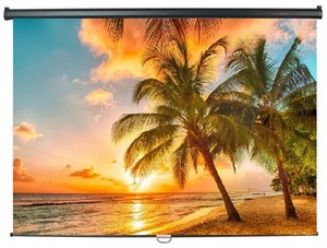 111" (282 см) Экран для проектора ScreenMedia Economy-P SPM-1103