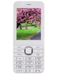 Сотовый телефон DEXP Larus B2 белый