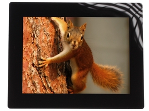 8" Фоторамка Rekam Dejaview HD-R8