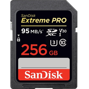 Карта памяти SDXC 256Gb SanDisk Class10 Extreme PRO V30 UHS-I U3 R:95 W:90 (SDSDXXG-256G-GN4IN)