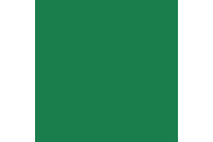 Фон бумажный Savage 35-1253 WIDETONE HOLLY цвет "Остролист" RGB 0-153-86, 1,35 х 11 метров
