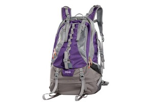 Фоторюкзак VANGUARD Kinray 53PR сиреневый