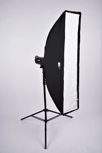 Стрипбокс FST SBR-230 30x120 см